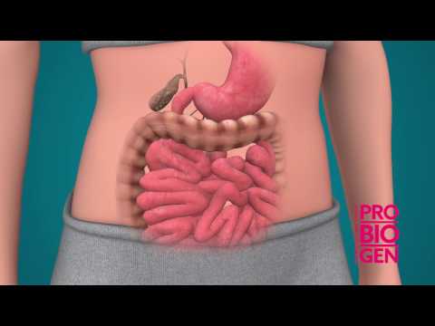 How PROBIOGEN Works – 3D Animation Informational Video